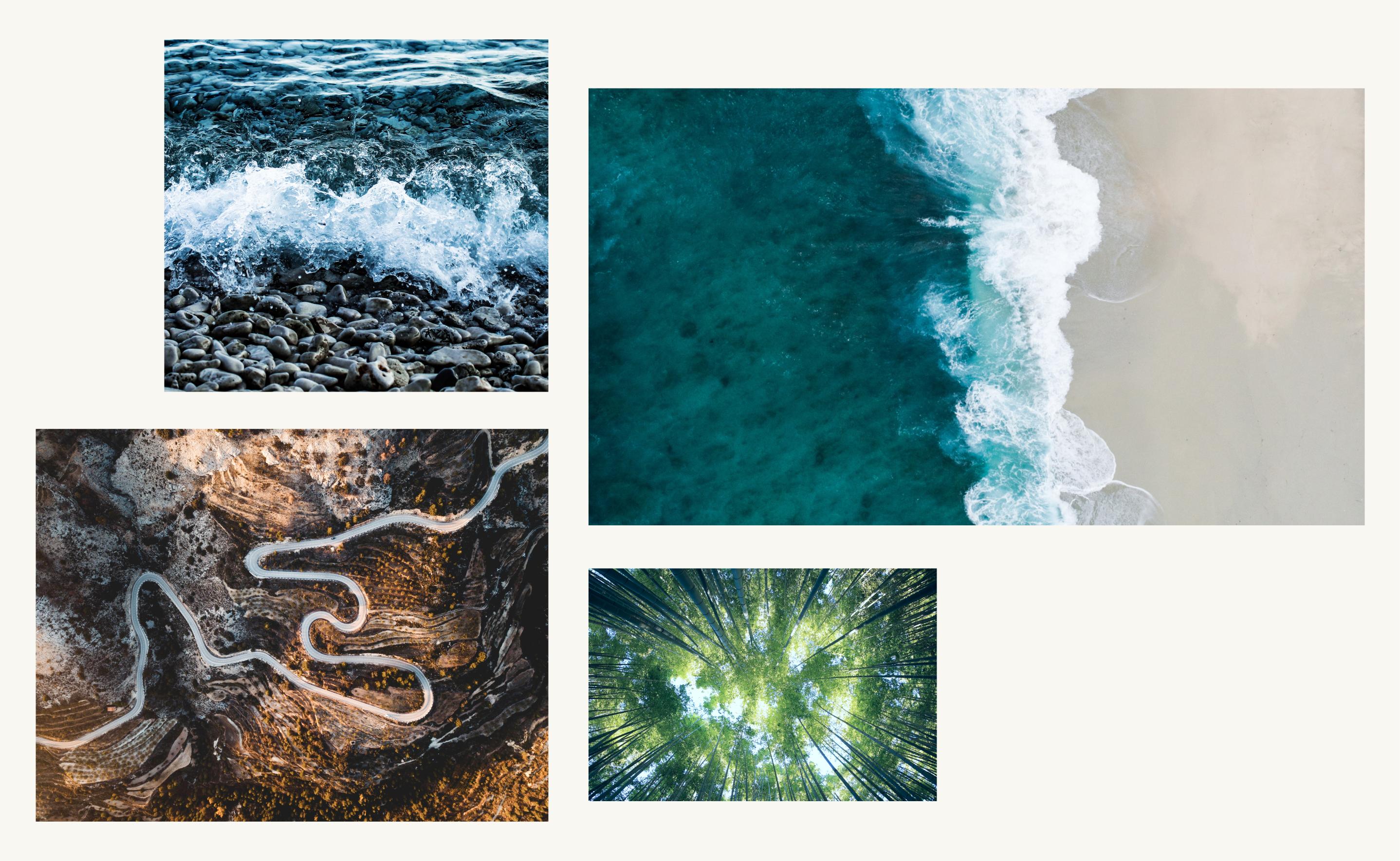4 Naturfotos repräsentieren die Bildwelt